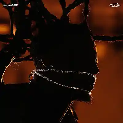 Picture for song 'NO SECURITY (1+1 FREE) TRAVIS SCOTT x DRAKE' by artist 'SIGHOST'