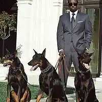 Picture for song 'Bank Roll' by artist 'Star Remedy Entertainment'