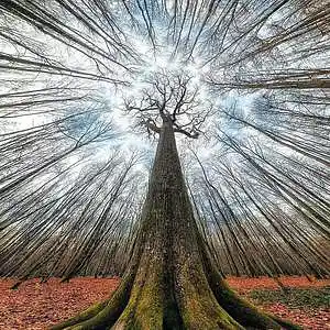 Picture for song 'Perspective' by artist 'Steampipe Studio'