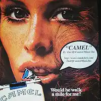 Picture for song 'Camel (Demo)' by artist 'Out Of Control Music Inc'