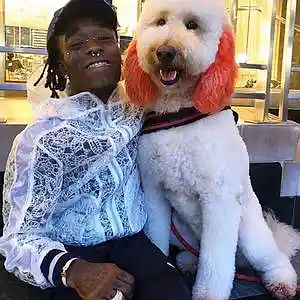 Picture for song 'wet wet' by artist 'prod. enzo'