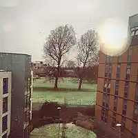 Picture for song 'Timpiola' by artist 'Rasam'