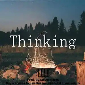 Picture for song 'Thinking' by artist 'Reiver Beats'