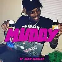 Picture for song '*Muddy* New Trap HIT (Free DL)' by artist 'Sean Bentley'