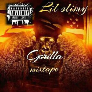 Picture for song 'tagmp3_AUD-20191101-WA0000' by artist 'Lil slimy'