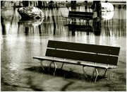 Picture for song 'Cool riff' by artist '12AD'