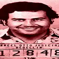 Picture for song '808 Narcos (Buy 1 Get 1 Free)' by artist '16 Beats'