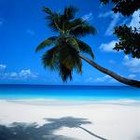 Picture for song 'Cancun' by artist '333maxwell'