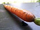 Picture for song 'Carrot top diss' by artist '902JayKing'