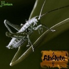 Picture for song 'New illusions' by artist 'Absolute Music'
