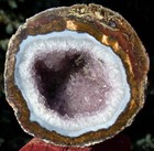 Picture for song 'purple coconuts' by artist 'abstract butta fingas'
