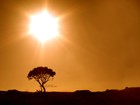 Picture for song 'I Shine (untitled)' by artist 'ACE FADAL'