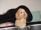 Picture for song 'Over There' by artist 'Acoustic Alternative Pat'