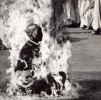 Picture for song 'Suicide is Sacred' by artist 'Aethyria'