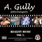 Picture for song 'Shoulda Known' by artist 'A Gully'