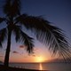 Picture for song 'Bossa Nova' by artist 'Aidao'