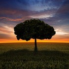 Picture for song 'Good days (prod. by AimeZ)' by artist 'aimezmusic'