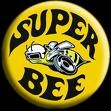 Picture for song 'Superbee' by artist 'Ajen'