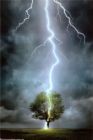 Picture for song 'Guide The Lightning' by artist 'Foul Bundy'