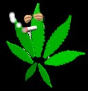 Picture for song 'Lets Get High' by artist 'Ak Slaughter'