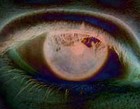 Picture for song 'Parallax' by artist 'aldotic'
