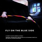 Picture for song 'ALESSANDRO PORCELLA Fly on the blue side' by artist 'Alessandro Porcella'