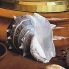 Picture for song 'Pirmam kartui' by artist 'Alikas'