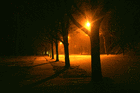 Picture for song 'Cold Nights' by artist 'Allinone The Great'
