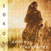 Picture for song 'Eh, molodoi' by artist 'Andrey Vinogradov'