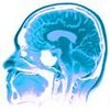 Picture for song 'Memory Foam Brain' by artist 'Andries'