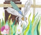 Picture for song 'Beautiful Dragonfly' by artist 'Andy Pearce'