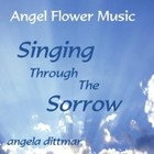 Picture for song 'He's In Your Arms' by artist 'angel flower music'