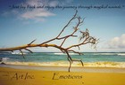 Picture for song 'Emotions' by artist 'Art Inc'