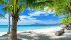 Picture for song 'Paradise' by artist 'Artiztik Beatz'