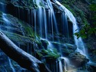 Picture for song 'Waterfalls' by artist 'Ashawn Raines'