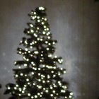 Picture for song 'Christmas Eve 2007 Ell Veez Par-Tay' by artist 'AuDioChosis - Steven F. Allen - AuDio MiRage'