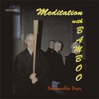 Picture for song 'Ananda The Ecstacy...' by artist 'Bapu Padmanabha'