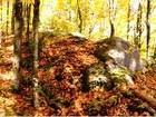 Picture for song 'October' by artist 'Barry Oates'