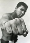 Picture for song '*NEW* Heavyweight | #1Hit SOLD!' by artist 'Beatjunkie Rato'