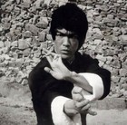 Picture for song 'Kung fu' by artist 'beatswami'