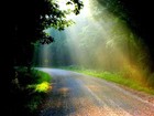 Picture for song 'GravelRoad' by artist 'BeeZee'