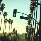Picture for song '*DRAKE XOXO* Never Leave ' by artist 'Ben Rushan'
