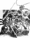 Picture for song 'Attack of the Giant Ants' by artist 'Bert Guy'
