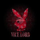 Picture for song 'mighty boyz' by artist 'Bigg Cee The Insane'