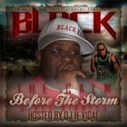 Picture for song 'RAP OR DIE (PRODUCED BY DRO)' by artist 'BLACK REIGN ENTERTAINMENT'