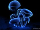 Picture for song 'Is it just me' by artist 'Blisko'