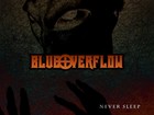 Picture for song 'Never Sleep (Short)' by artist 'blueOverflow'