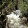 Picture for song 'Fishing Buchanan Creek' by artist 'Bob Blanton Band'