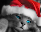 Picture for song 'In da Brass Mood (Happy New Year)' by artist 'Bob the Key'