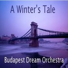 Picture for song 'Snowscapes' by artist 'Budapest Dream Orchestra'